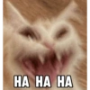 HA HA HA