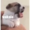 Cosas buenas  7
