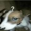 ?