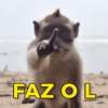 FAZ OL