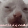 A ver tu cola 😎memes 17