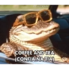 Aleatórios 9