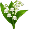 IPhone emoji Primavera2 🌸🩷🌸 17