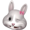 Emoji iphone 11