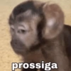 prossiga