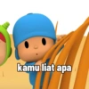 kamu liat apa