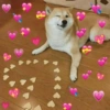 CORAÇÃOZINHO PRA TU 🩷 10