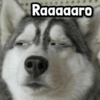 Raaaaaro
