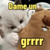 😻Gatos gaticos michis lindos 7