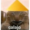 Perro  11
