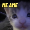 ME AME