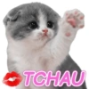 TCHAU