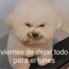 😛 DIAS DE LA SEMANA TOP 😛 10