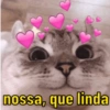 nossa, que linda
