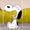 🦴🏠 SNOOPY 6 🏠🦴 14