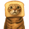 ✨️ Modo Gato 🐈🐱🐈‍⬛ 18