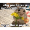 Pra mandar pro crush 💖 7