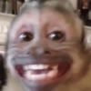 Reações + macacos 🐒 15