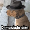 Demasiado cine