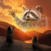 Reações de animais 6