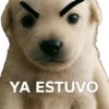 Pal grupo 22