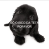 Cantadas 8