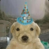 Inserte emojis de cumpleaños 13