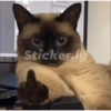 Stikers3 27