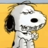 🦴🏠 SNOOPY 4 🏠🦴 5
