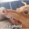 ta phota