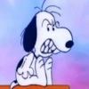 🦴🏠 SNOOPY 6 🏠🦴 20