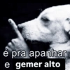 Aleatórios 3 24