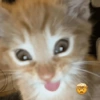 Emoji 5