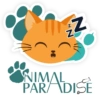 AP emojis 7