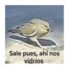 Nomas 22