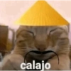 Perrito 12