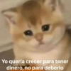 Kittens for u🐈💖✨ CLÁSICOS 11