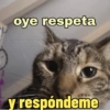 oye respeta @gatomoperdonas y respóndeme