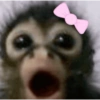 Macacotes 7