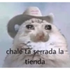 Nomas 25