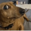 Reactions Memes 6