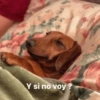 Y si no voy?
