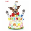 Inserte emojis de cumpleaños 6