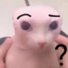 Gatinhos 7