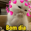 Bom dia 12