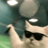 🧿Gatitos Gatos Miau🐱🐈 9