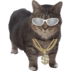 Akmal Cat oiia 7