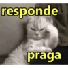Eu não autorizei! 😡 8