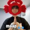 maap