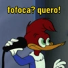 Pica pau debochado 🤣 11
